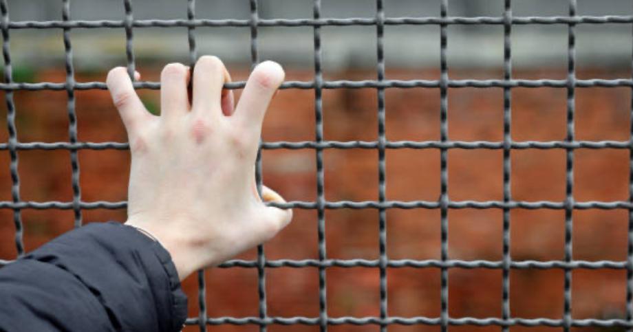 LA REALTA' PENALE MINORILE